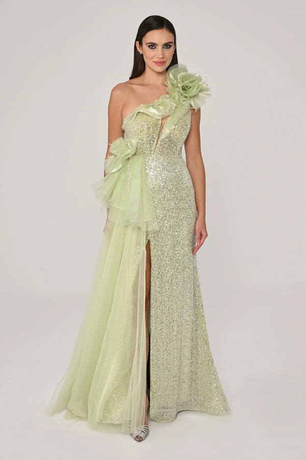 ORGANZE DETAYLI PAYETLİ ŞIK UZUN YIRTMAÇLI ABİYE