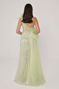 ORGANZE DETAYLI PAYETLİ ŞIK UZUN YIRTMAÇLI ABİYE